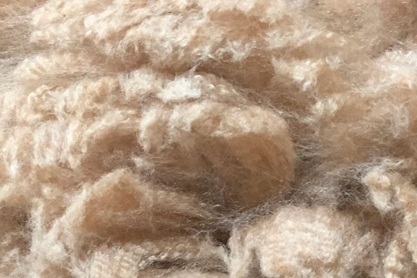 Photo of alpaca wool 1